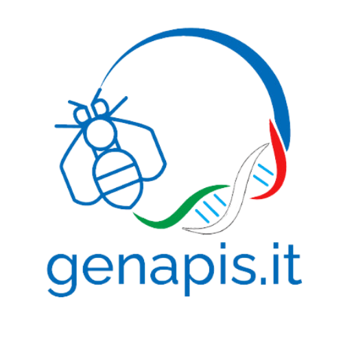 Genapis